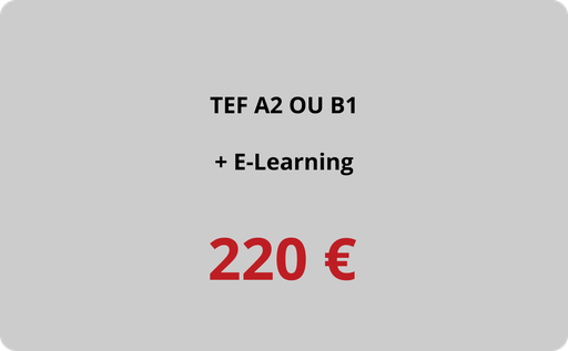 TEF A2 ou B1 + E-Learning